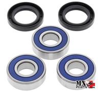 KIT CUSCINETTI RUOTA POSTERIORE BMW F800R 2015-2017 ALL BALLS 25-1677