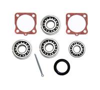 Kit cuscinetti ruota posteriore con riduttori per VOLKSWAGEN Combi Split Braz...