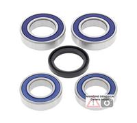 Kit cuscinetti ruota posteriore Ducati 1000cc Paul Smart 1000LE 06 25-1668