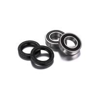 Kit cuscinetti ruota posteriore Factory Links Sherco 2024