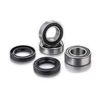 Kit cuscinetti ruota posteriore Factory Links Sherco - Dalbellomoto