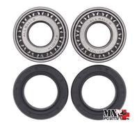 KIT CUSCINETTI RUOTA POSTERIORE HARLEY DAVIDSON XLSA 1000 1982 ALL BALLS 25-1002