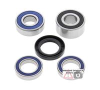 Kit cuscinetti ruota posteriore Honda 1300cc CTX1300 14 25-1464 ALL BALLS