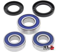KIT CUSCINETTI RUOTA POSTERIORE KAWASAKI Z900RS SE 2022 ALL BALLS 25-1386