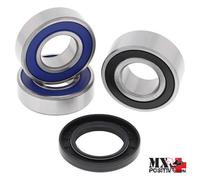 KIT CUSCINETTI RUOTA POSTERIORE KTM 640 LC4 2001-2002 ALL BALLS 25-1283