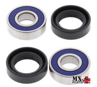 KIT CUSCINETTI RUOTA POSTERIORE KTM SX 50 MINI 2008 ALL BALLS 25-1009
