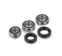 KIT CUSCINETTI RUOTA POSTERIORE PER GAS RIEJU EC 125