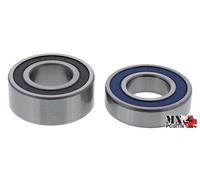 KIT CUSCINETTI RUOTA POSTERIORE POLARIS ACE 150 2019-2021 ALL BALLS 25-1778