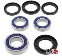 KIT CUSCINETTI RUOTA POSTERIORE SUZUKI GSX-R600 2001-2009 ALL BALLS 25-1392
