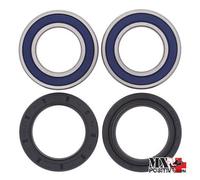 KIT CUSCINETTI RUOTA POSTERIORE SUZUKI LT-F250 2WD 1988-2001 ALL BALLS 25-1299