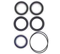 Kit cuscinetti ruota, upgrade ALL BALLS 25-1620 per Kawasaki KFX R 450cc