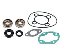 Kit cuscinetti Skf+Guarnizioni cilindro Benelli 491 SP 50 1999