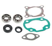 Kit cuscinetti Skf+Guarnizioni cilindro C4 per Beta Ark 50 1996-2002