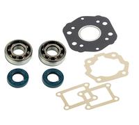 Kit cuscinetti Skf+Guarnizioni cilindro C4 per Gilera RCR 50 2003-2005