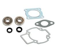 Kit cuscinetti Skf+Guarnizioni cilindro C4 per Gilera Stalker 50 1997-1998