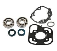 Kit cuscinetti Skf+Guarnizioni cilindro C4 per Peugeot Speedfight 3 LC 2011-2013