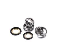 Factory Links Honda Africa Twin Steering Stem Bearing Kit Argento