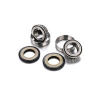 Factory Links Rieju 50cc Steering Stem Bearing Kit Argento