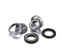 Factory Links Ajp/bmw/kawasaki/ktm/suzuki Ssk-t-069 Steering Bearing Kit Argento