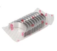 Set di cuscinetti dell'albero a gomiti NE 6035082000