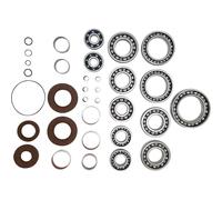 Kit Cuscinetto E Guarnizione Differenziale Moose Racing 25-2114