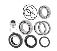 KIT CUSCINETTO E GUARNIZIONE DIFFERENZIALE POSTERIORE Per RANCHER 420 Per TRX420 2WD 4WD 2007-2013 Mozzo Ruota Cuscinetto Set