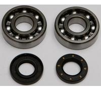 Kit Cuscinetto E Sigillo Crankshaft All Balls Racing 24-1062