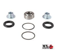 KIT CUSCINETTO INFERIORE SOSPENSIONE ARCTIC CAT WILDCAT 4X 2014 ALL BALLS 21-...