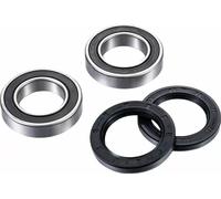 Kit cuscinetto perno ruota FACTORY LINKS ARA-Y-011