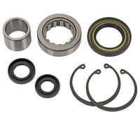 Kit cuscinetto primario interno + guarnizione BT85-06