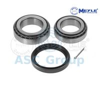 Kit Cuscinetto Ruota Anteriore Sinistro O Destro Meyle 614 650 0002