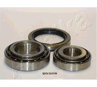 Kit cuscinetto ruota - ASHIKA 44-20309