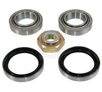 Kit cuscinetto ruota Assale posteriore Sx per FORD SIERRA
