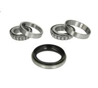 Kit cuscinetto ruota BTA H11020BTA per NISSAN NAVARA (D22) 2.5 1998-2001