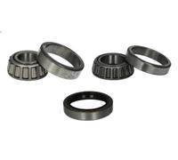 Cuscinetto ruota Assale posteriore H21005BTA BTA per NISSAN MICRA I