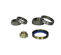 Kit cuscinetto ruota BTA H2C039BTA