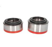 Kit cuscinetto ruota FAG 566834.H195 per DAF 45 5.88 1991-2000