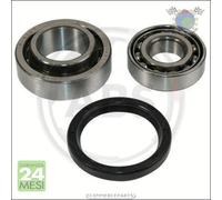 Kit Cuscinetto Ruota Mozzo Abs Posteriore Per Rover Maestro