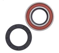 All Balls Racing Set Di Cuscinetti Ruota POSTERIORE 25-1516