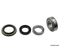 Kit Cuscinetto Ruota Posteriore Per HYUNDAI H100 1993 + 5261243400 KLT/HY/007A