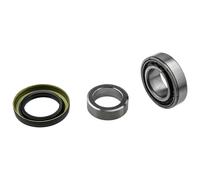 Kit cuscinetto ruota posteriore per RENAULT GRAND SCENIC II KANGOO MEGANE II ...