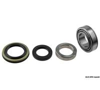 Kit Cuscinetto Ruota Posteriore Per SSANGYONG MUSSO 1995-2007 KLT/DW/039AB