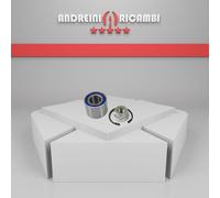 KIT CUSCINETTO RUOTA POSTERIORE RENAULT SUPER 5 1.6 D 40KW 1989 |W413092