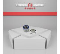 KIT CUSCINETTO RUOTA POSTERIORE xRENAULT CLIO III 1.5 DCI 78KW 2011 |W413092