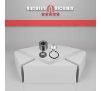 KIT CUSCINETTO RUOTA POSTERIORI PEUGEOT 207 SW 1.4 16V 70KW 2013 |W413270