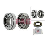 713625120 Kit Cuscinetto ruota posteriore (MARCA FAG)..