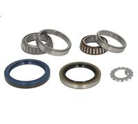 Set di cuscinetti ruota SNR R151.09