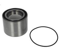 Kit cuscinetto ruota SNR R154.64