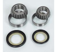 Kit cuscinetto sterzo All Balls compatibile Moto Honda 600 Hornet 1998-2010 22-1020