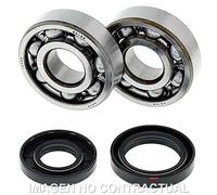 Kit Da Cuscinetti Albero Motore All Balls 24-1025 per Moto Ricambi